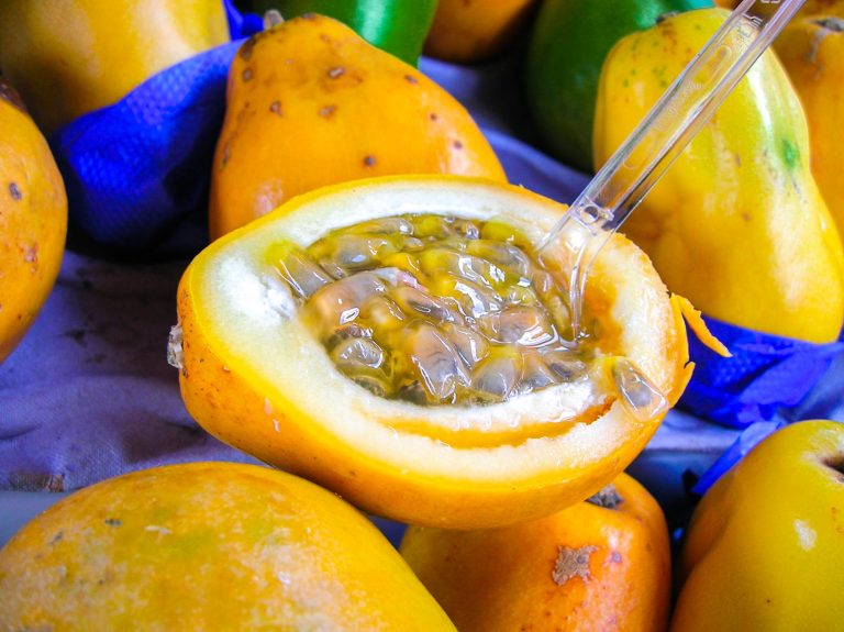 13 Exotic Fruits In Nicaragua Youll Adore Photos