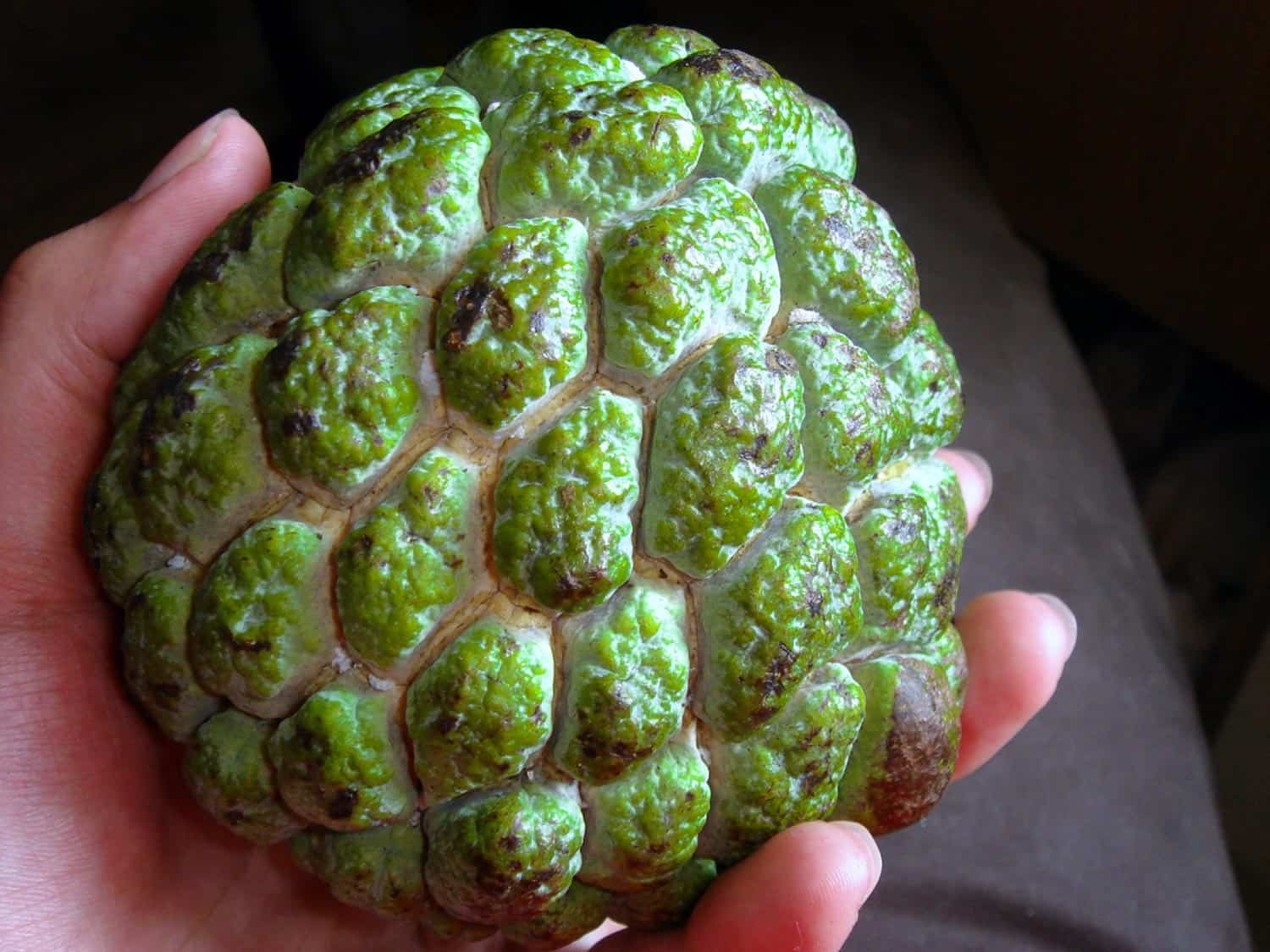green exotic fruits