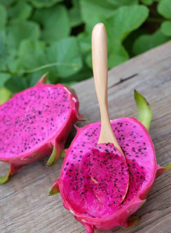 13 Exotic Fruits In Nicaragua Youll Adore Photos