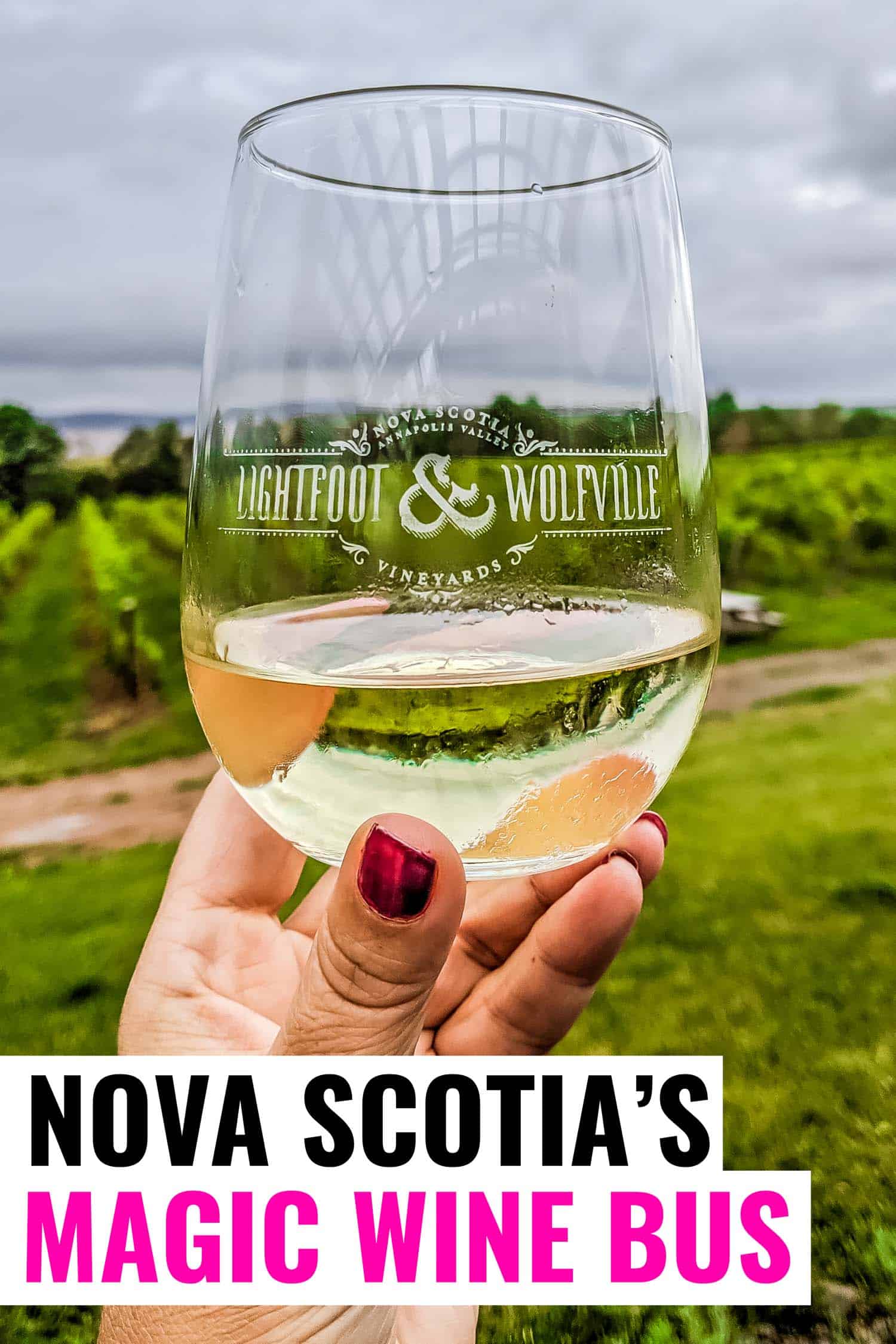 Glass of Nova Scotian wine in hand with winery vineyards in background.