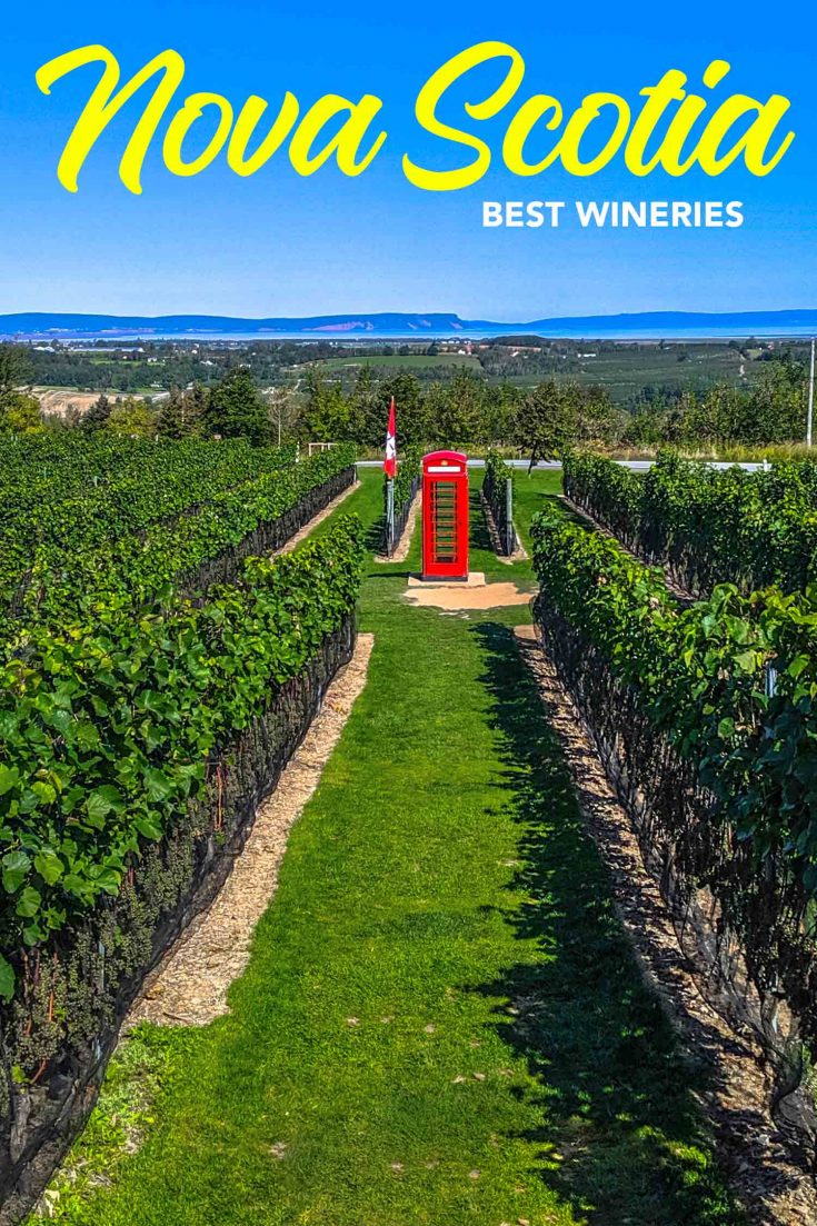 11 Reasons Wine Lovers Rave About Nova Scotia Wine