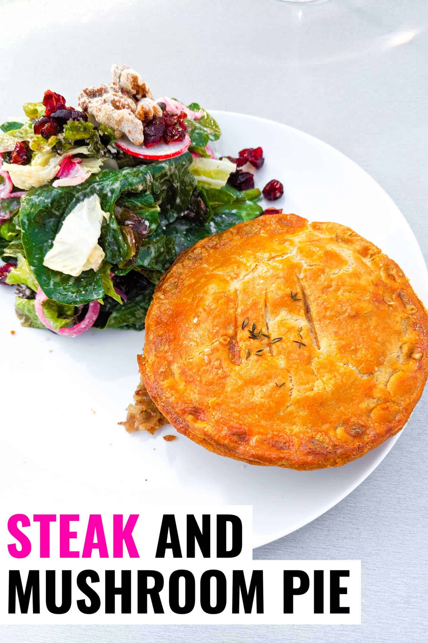 Steak & Mushroom Pot Pie - Maple Leaf Healthcare & Hospitality