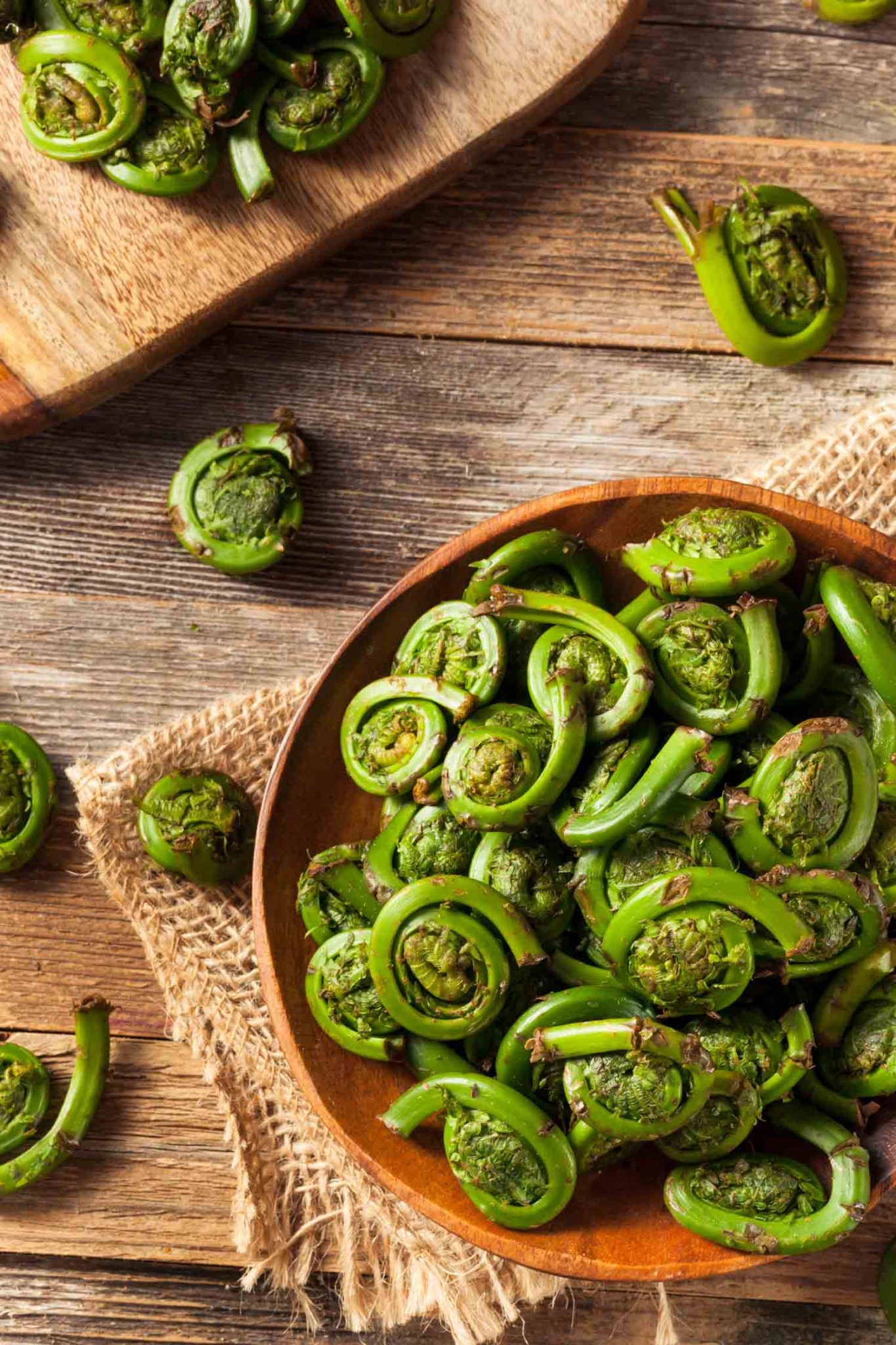 Beer Battered Fiddleheads Recipe - Bacon is Magic