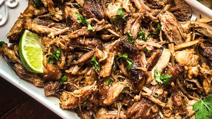 Mccormick street taco discount pork carnitas instant pot