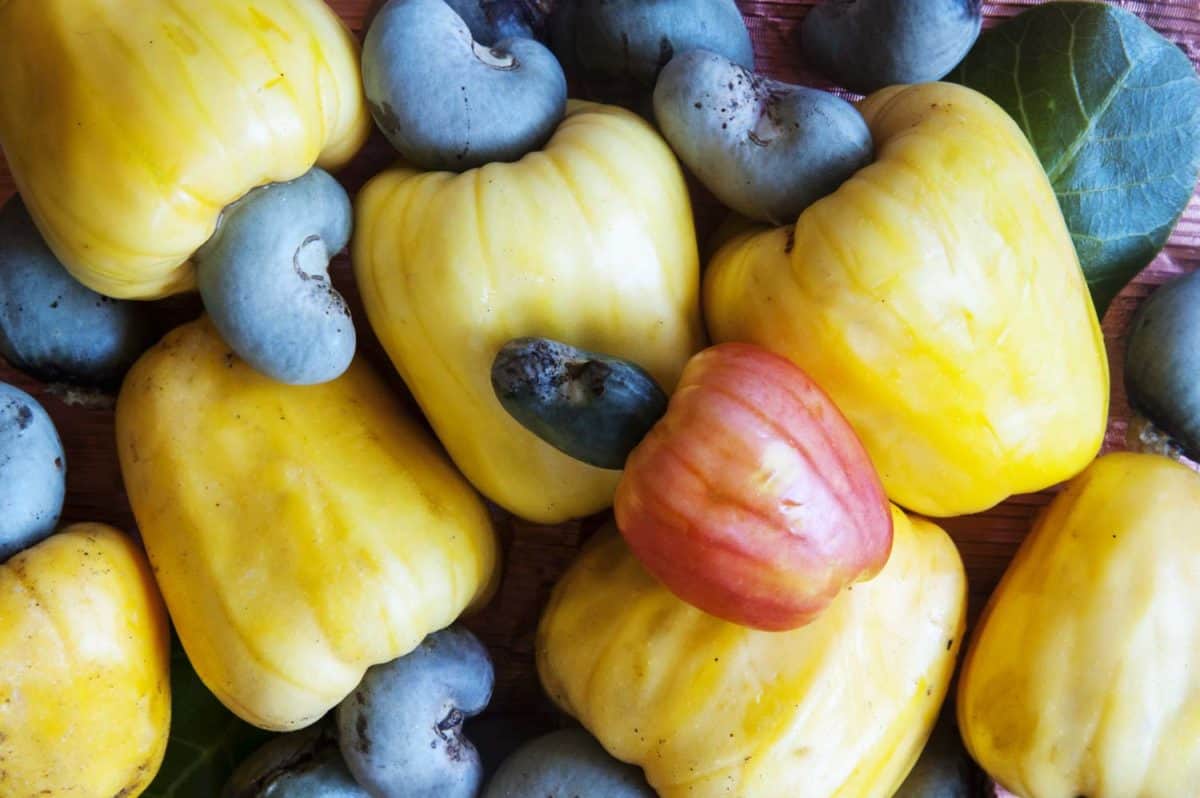 31 Exotic Fruits in Cambodia You've Never Seen Before - Bacon is Magic