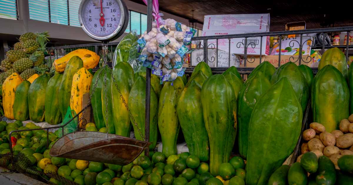 Fruit In Nicaragua at Dianne Palen blog