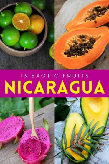 13 Exotic Fruits in Nicaragua You'll Adore + PHOTOS