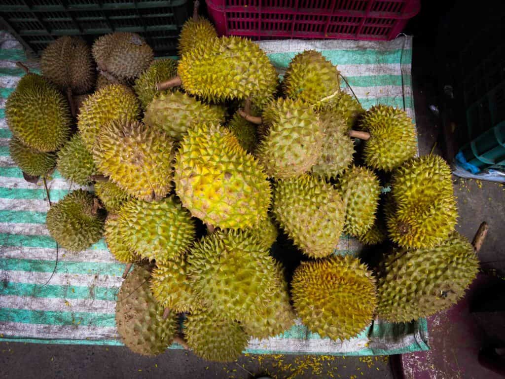Durian in a pile in Vietnam