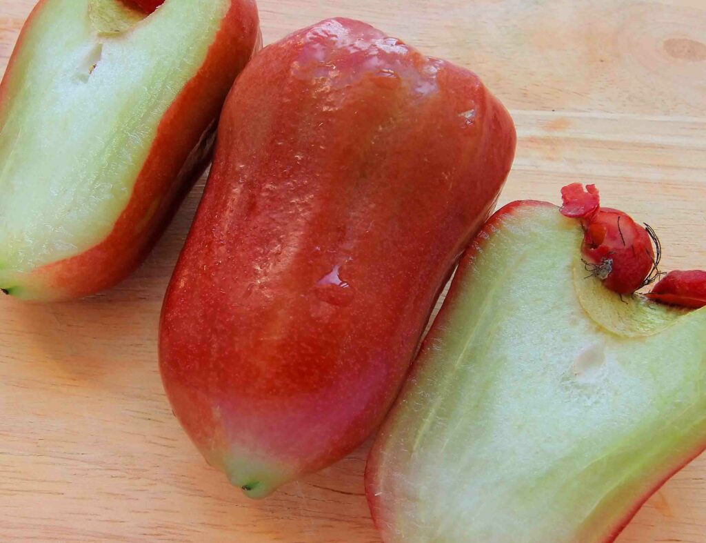 rose apple fruit