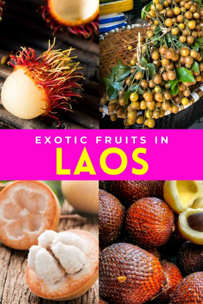 various Laos fruits including rambutan, santol, langsat and salak with text exotic fruits in Laos