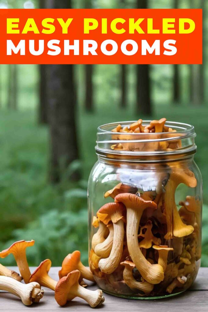 pickled chanterelles in jar with woods as background with text that says easy pickled mushrooms