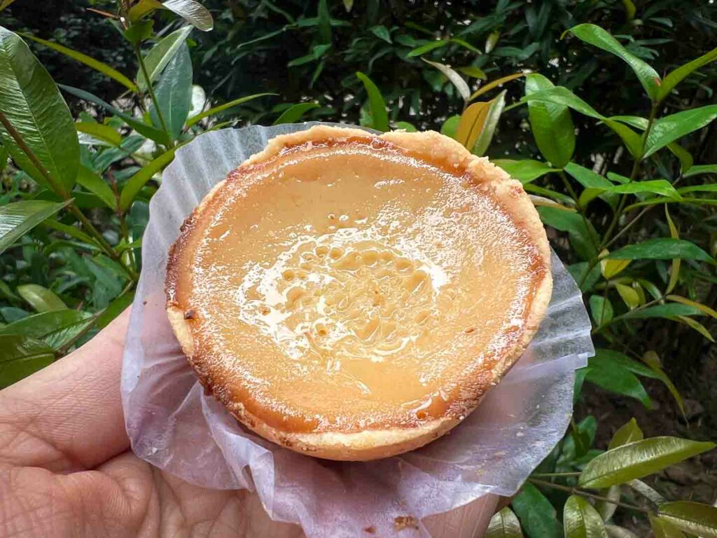 Leche plan in a woman's hand on greenery a traditional delicacy in Cebu