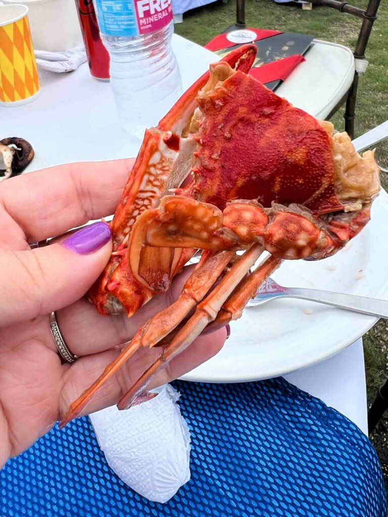 south cebu mud crab in a woman's hand