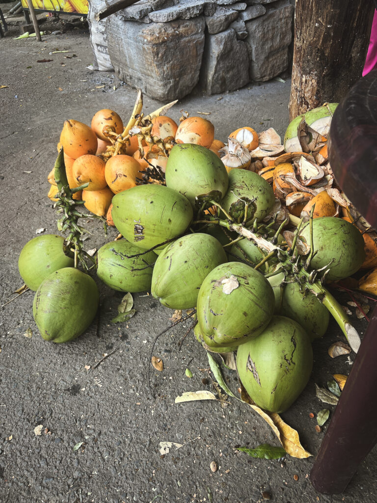 Sri Lankan fruits king coconut 