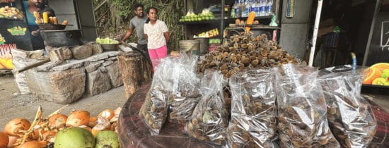 pile of velvet tamarind in Ella, a Sri Lankan fruit sold in small bags as a snack