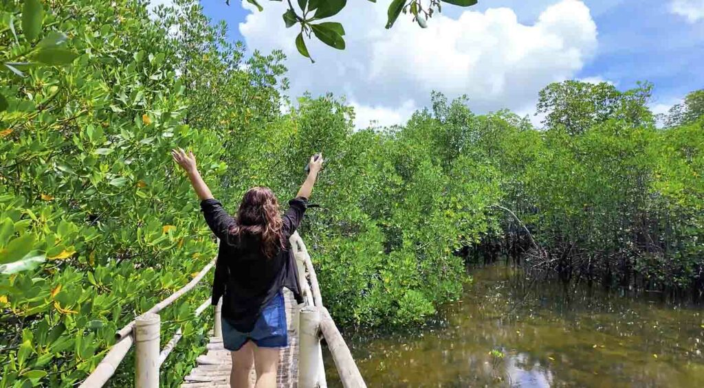 Omagieca Obo-ob Mangrove Garden