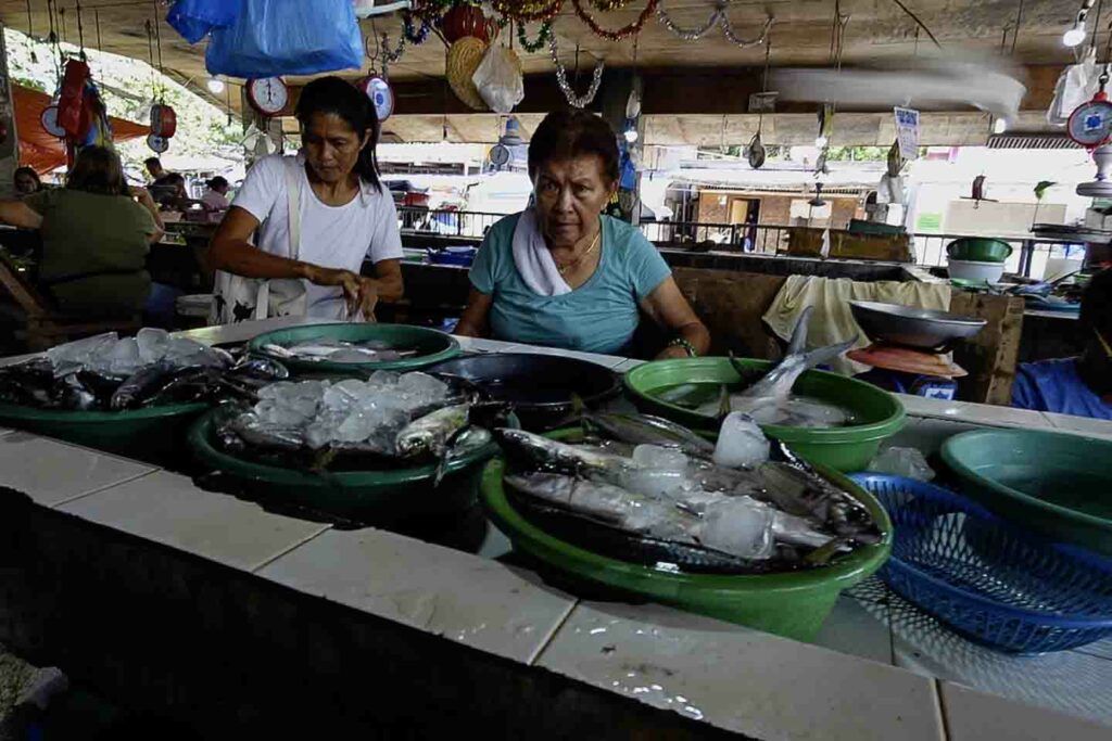 Women selling fish at the Oslob Public market