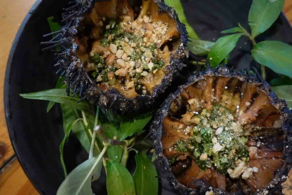 Phu Quoc Night market sea urchins